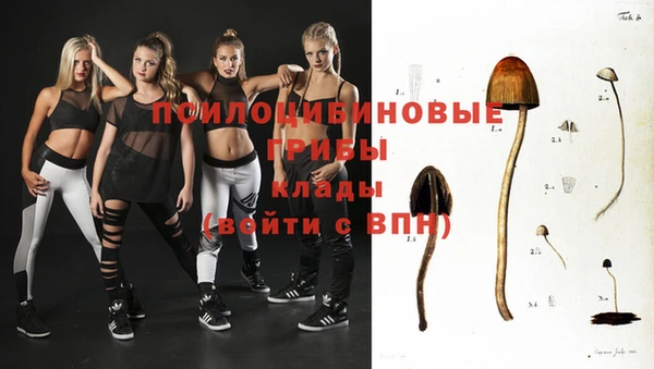 соль ск Богородицк