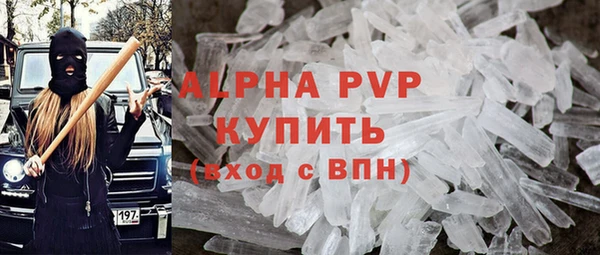 сатива Белокуриха